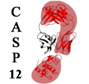 CASP12 Home